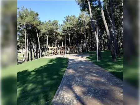 Resim Galerisi